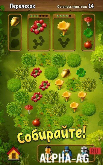 Mushroom Hunters: Gifts of the Forest screenshot 3