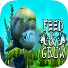 Feed and Grow: Fish