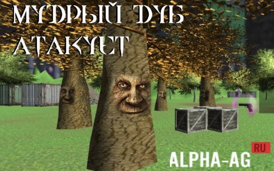 Wise Oak Attacks