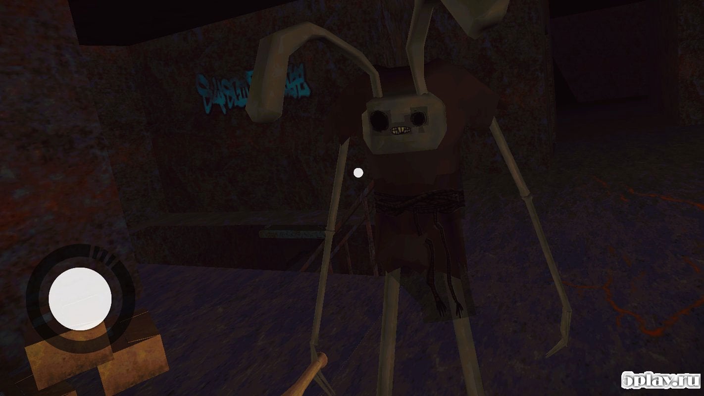 Bunny