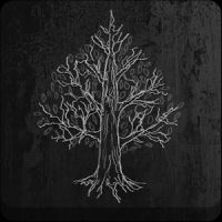 The Darkest Woods