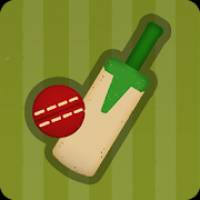 Village Cricket