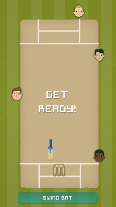 Village Cricket screenshot 1