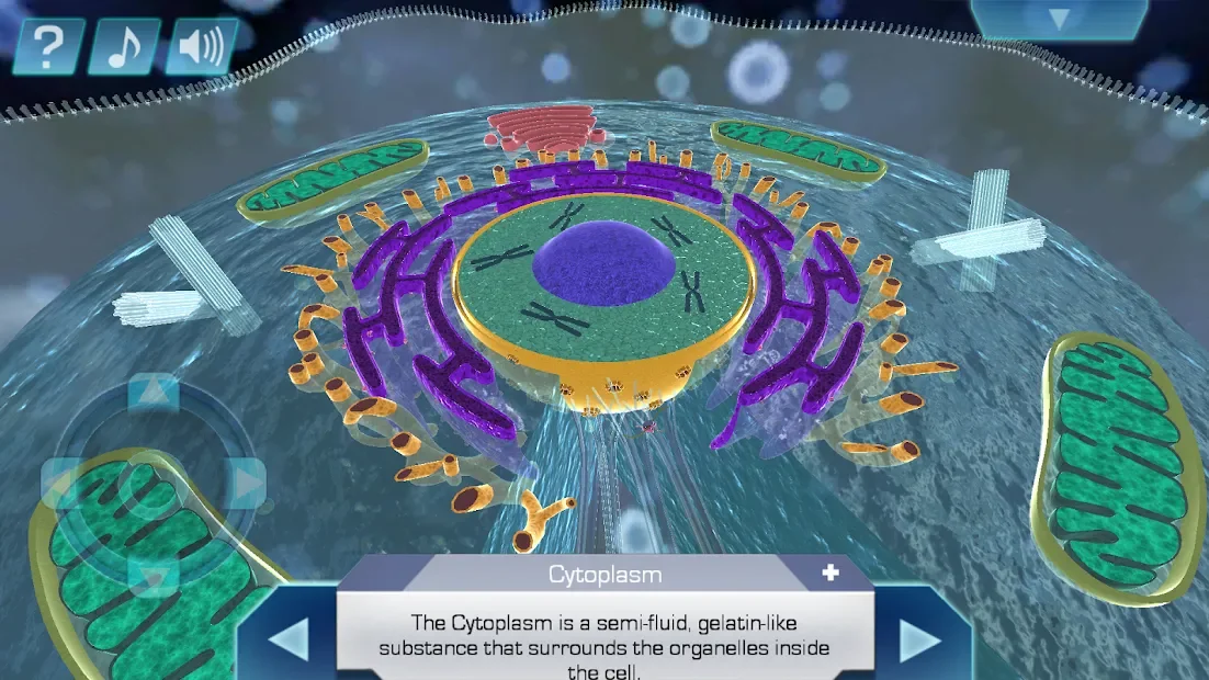 Cell World