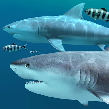 Sharks 3D screenshot 1