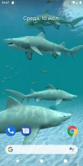 Sharks 3D screenshot 2
