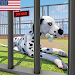 Animal Shelter: Pet Life Game screenshot 1