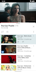 YouTube Premium Advanced screenshot 1