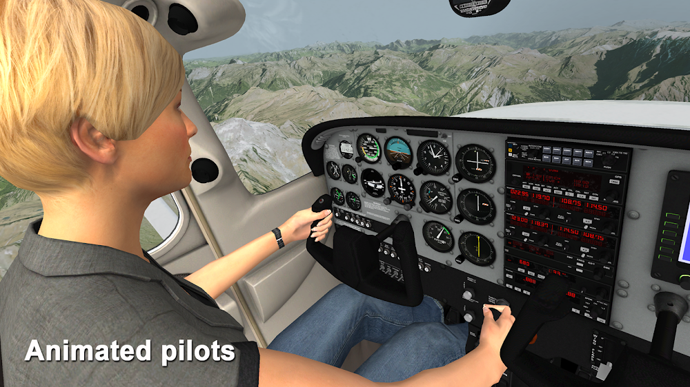 Aerofly 1 Flight Simulator screenshot 4