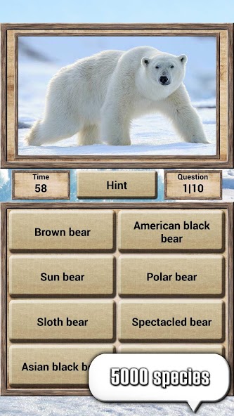 Animal Kingdom screenshot 2