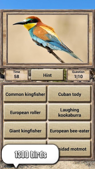 Animal Kingdom screenshot 3