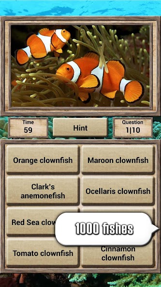 Animal Kingdom screenshot 4