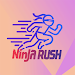Ninja Rush screenshot 1