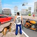 Indian Police Bike Chase 3D screenshot 1