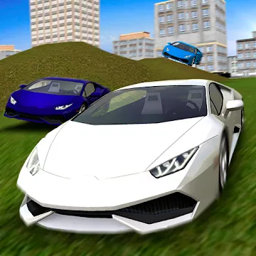 Multiplayer Driving Simulator screenshot 1