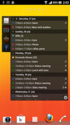 All-in-One Agenda widget screenshot 2