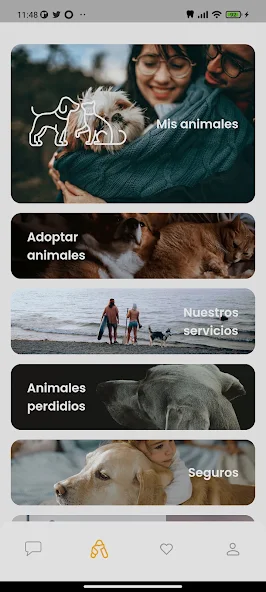 Amazdog