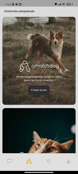 Amazdog screenshot 2