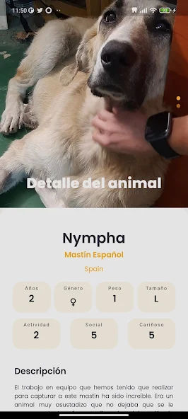 Amazdog screenshot 3