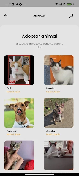 Amazdog screenshot 4