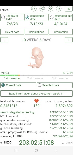 Pregnancy Calculator screenshot 1