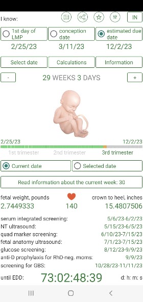 Pregnancy Calculator screenshot 3