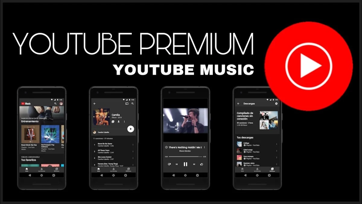 YouTube Music ReVanced screenshot 2