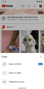 YouTube Premium screenshot 7