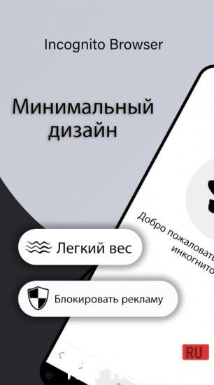 Incognito Browser Pro screenshot 2