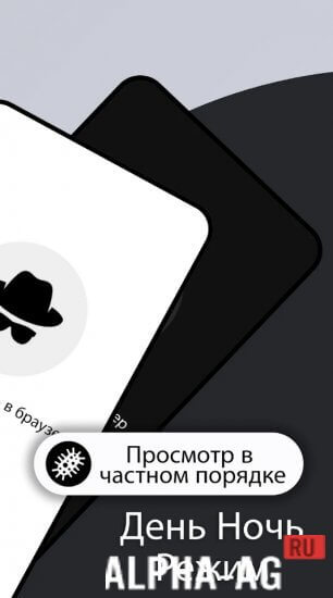 Incognito Browser Pro screenshot 4