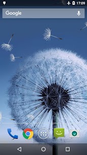 Dandelion Live Wallpaper screenshot 1