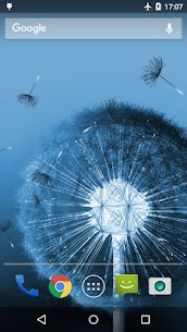 Dandelion Live Wallpaper screenshot 2