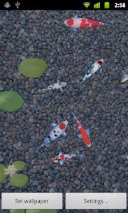 aniPet Koi Live Wallpaper screenshot 1