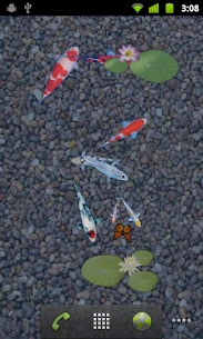 aniPet Koi Live Wallpaper screenshot 5