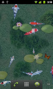 aniPet Koi Live Wallpaper screenshot 6