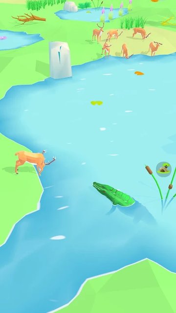 Animal Wildlife screenshot 8