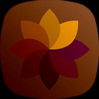 Yomira - Premium Icon Pack 25.5