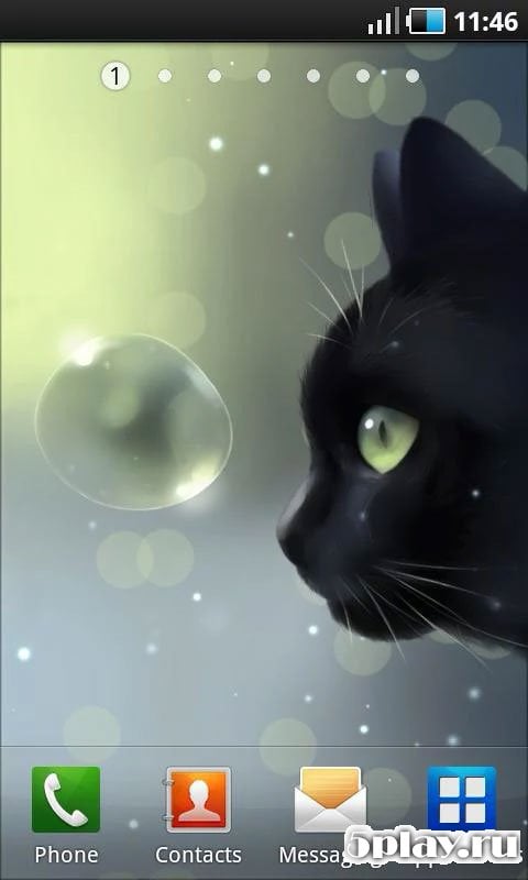 Curious Cat