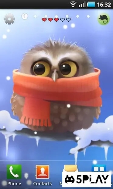Little Owl