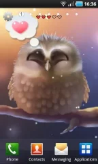 Little Owl screenshot 3