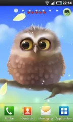 Little Owl screenshot 4