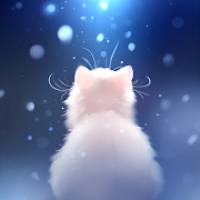 Snow Kitten Live Wallpaper 1.0.0