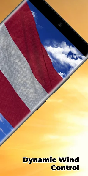 Austria Flag gameplay screenshot 2