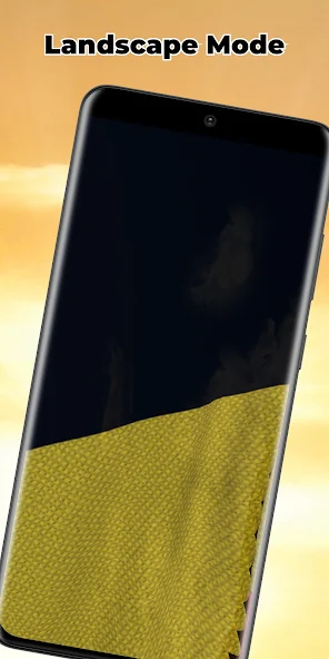 Belgium Flag screenshot 3