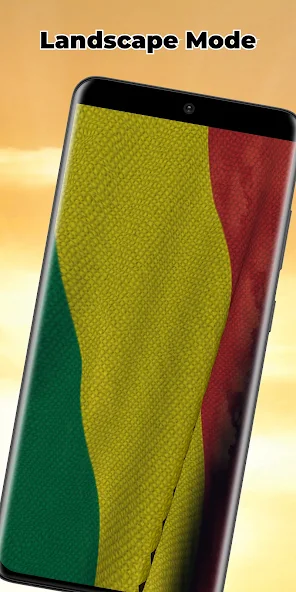 Bolivia Flag screenshot 3