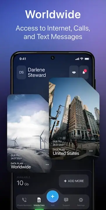 ESim game interface