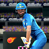 Real World Cricket Games Screenshot 1