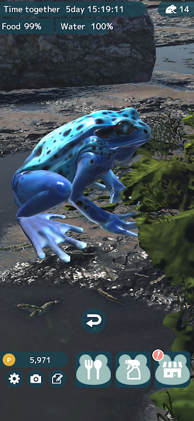 Frog screenshot 4