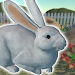 Rabbit Friends - caring games screenshot 1
