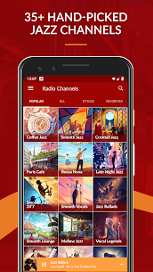 JAZZ MUSIC RADIO screenshot 1
